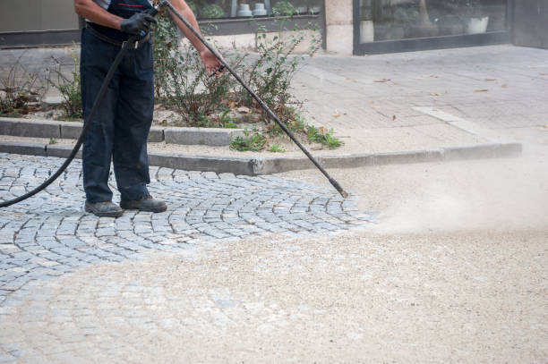 Best Gutter Cleaning  in Salida, CO